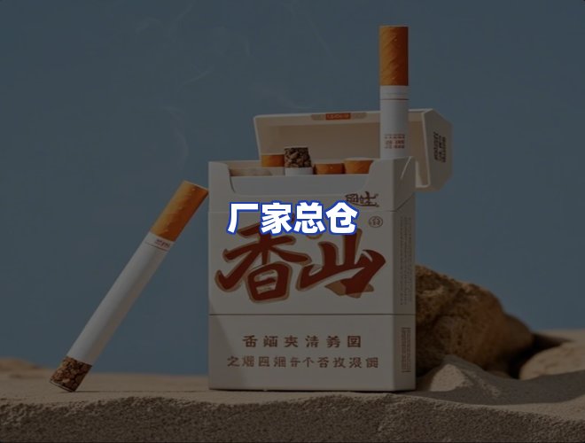 专业团队